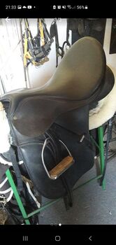 Dressursattel Wintec 500, Wintec Dressursattel 500, Melanie Wank , Dressage Saddle, Kreuzergegend-West