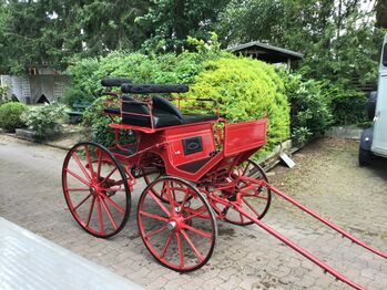 Dressurspider, Heike Vollbracht , Carriages, Steinhagen