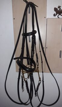 Kandarenzaum Dressurkandare inkl. Zügel  WB Sprenger  KK ultra aurigan 