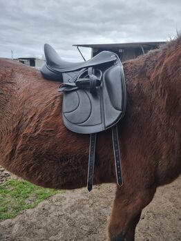 Dressur Sattel Claridge House, Claridge House , Laura Steinbach , Dressage Saddle, Kerpen 