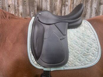 Dressursattel Euroriding „Romulus“, Medium, Euroriding  Romulus, Esther, Dressage Saddle, Euerdorf 