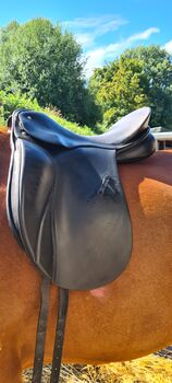 Dressursattel 'Grand Gilbert' Passier, Passier Dressursattel Grand Gilbert , Djana Verhoeven, Dressage Saddle, Erkrath