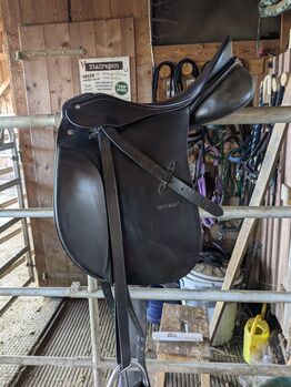 Dressursattel passier Young Champ, Passier  Young Champ, Nicole, Dressage Saddle, Wolfratshausen