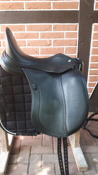 Dressursattel Schleese, Modell Mambo, Schleese Mambo, Joelle H, Dressage Saddle, Gifhorn