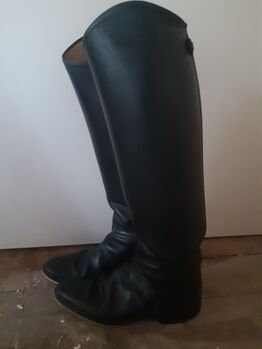 Dressurstiefel/ Reitstiefel Größe 39, Regent, Dania, Riding Boots, Ummendorf