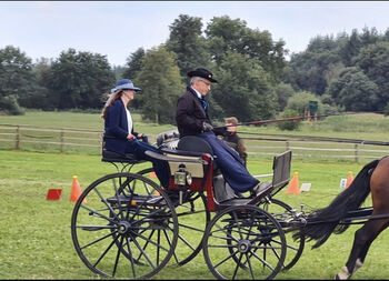 Dressurkutsche, Spider, Henning Munk, Carriages, Altenoythe