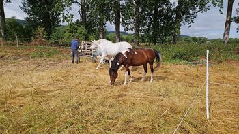 Dreamteam sucht Bestplatz