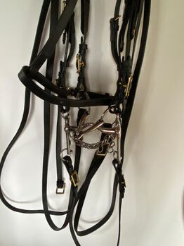 Kandarenzaum mit Unterlegtrense (neu), SIGNUM Campo Soft, Omega, Rosemarie Schultze, Bridles & Headstalls, Cadolzburg