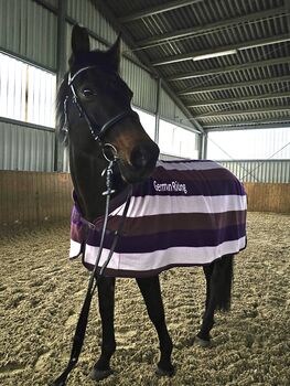 Abschwitzdecke German Riding, German Riding, Lina, Horse Blankets, Sheets & Coolers, Polch