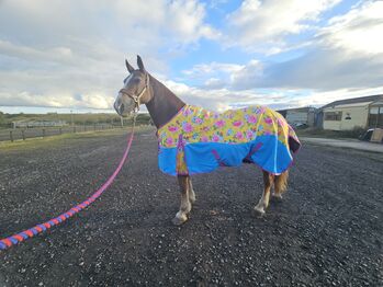 7ft cottage garden rug Ponyo Cottage gardern