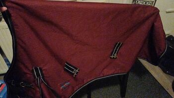 Regendecke Shetty, Birgit Ahlers, Derki dla konia, Schürensöhlen 