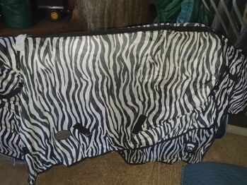 Zebra Weidedecke Waldhausen Zebra Weidedecke