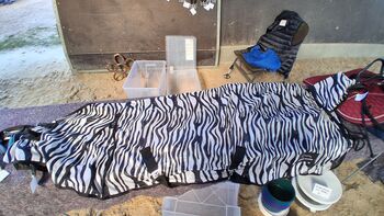 Fliegendecke in 135, Melissa, Ochrona koni przed owadami , Thedinghausen 