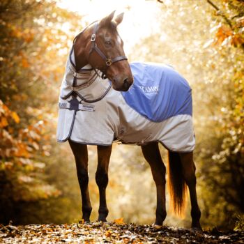 HORSEWARE Outdoor-/Weidedecke RAMBO Autumn Series, 145, NEU!!!, Horseware  Rambo Autumn Series, Susanne Rudolph, Derki dla konia, Amerang