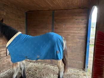 Abschwitzdecke 125cm Felix Bühler Fleece-Abschwitzdecke Equestrian Sports