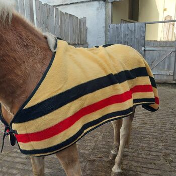 Abschwitzdecke 155, Powerhorse, Derki dla konia, Ziemetshausen