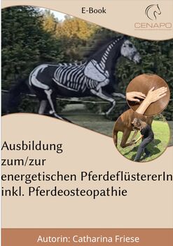 E-Book Ausbildung zum/zur energetischen PferdeflüstererIn inklusive Pferdeosteopathie