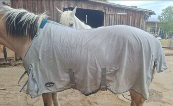 Ekzemerdecke Größe 155, Marengos, Daniela Lukasch , Horse Blankets, Sheets & Coolers, Belzheim 