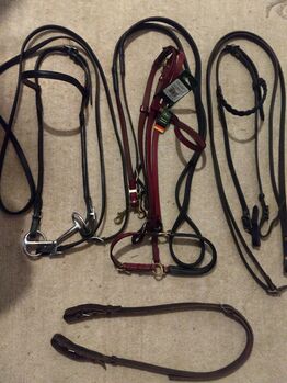 Edle Trense Isländer für Turnier + Training, Hunter u a, Chriss, Bridles & Headstalls, Weyhe