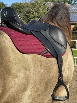 Edix Amira, Vielseitigkeitssattel mit Flexbaum, TESTOPTION Edix Amira