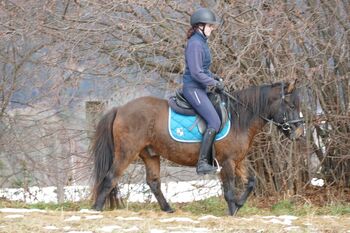 Ein Allrounder mit Klasse