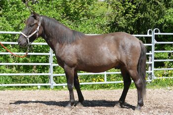 Ein Allrounder mit Potential