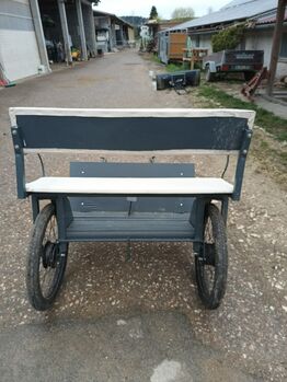 Einspänner Kutsche / Gig / Sulky