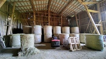 Bio Heu in Rundballen, scheunengelagert, strukturreich, Anja, Hay & Straw, Rehlingen, Ortsteil Diersbütte