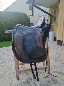 El Campo S3, Deuber El Campo S3, Viola Nitsche, Barocksattel, Hürth
