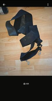 Elastische Körperbandage Pferd WB/Full, Anna, Longieren, Recklinghausen 