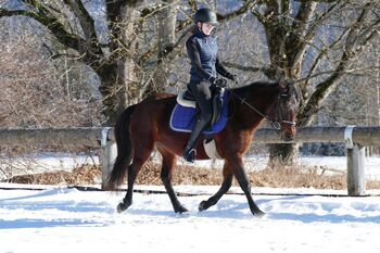 Ein Allrounder für die Zukunft