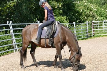 Ein Allrounder mit Potential
