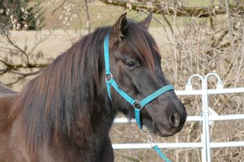 Ein Rohdiamant mit Potential