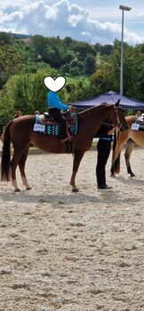 Ein besonderer Partner mit Herz, Ausstrahlung und Qualität, Kerstin Rehbehn (Pferdemarketing Ost), Horses For Sale, Nienburg
