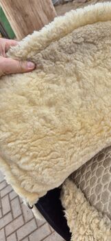 Engel Fellsattel WB Engel