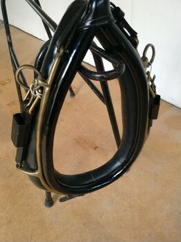 English Collar, Carl, Horse Harness, Newcastle under lyme