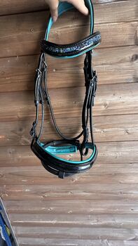 Englisches Reithalfter, Showmaster Englischesreithalfter, Elena, Bridles & Headstalls, Gottmadingen