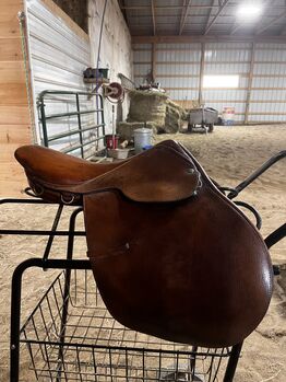 English Saddle, Kayle Bond, Endurance Saddle, Logan