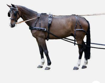 Einspänner Brustblattgeschirr, Sophie Bauer , Horse Harness, Bruchmühlbach