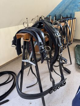 Einspänner Brustblattgeschirr, Karla Prokop, Horse Harness, Bad Oldesloe 