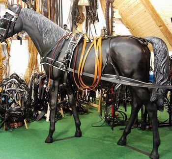 Einspänner Geschirr Brustblatt Geschirr, Modell Friese, Julia, Horse Harness, Neustadt am Rübenberge