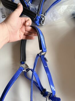 Ensemble bride, plastron et rênes en Biothane. RAID / endurance, Trotando Juntos , Maite (Productos Ecuestres Trotando Juntos S.L), Trensen, Palau solita y plegamans