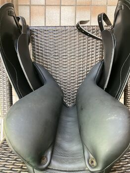 Eques Gold by Black Sattel Eques Gold by Black