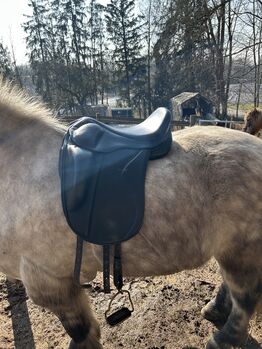 Eques Performance 17,5“, Eques Performance, Franzi Benner, Icelandic Saddle, Pastetten