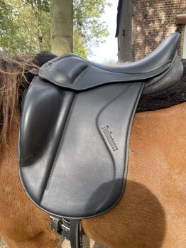 Eques Performance - fast neu!, Eques Performance , Angi, Icelandic Saddle, Jülich