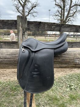 Eques Sella Plus 17“, Eques Sella Plus, Steffi , Isländersattel, Steyr