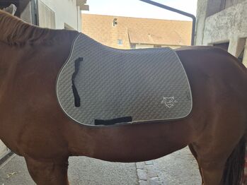 Equest Schabracke VS grau, Tamara O., Dressage Pads, Windisch