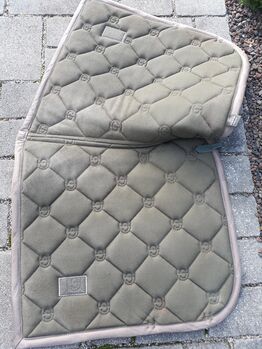 Equestrian Stockholm Set in Olive in DL Full