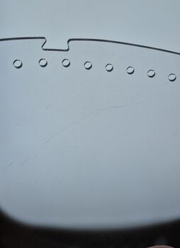 eQuick eVysor / Schutzbrille für Pferde