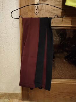 Equilibre Jodpur Winterreithose, Equilibre, Cristina, Breeches & Jodhpurs, Pflach